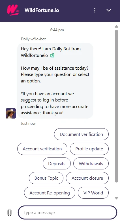 Wild Fortune support options with live chat